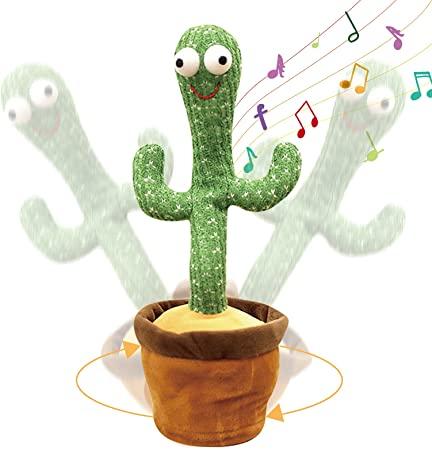 Cactus bailarín