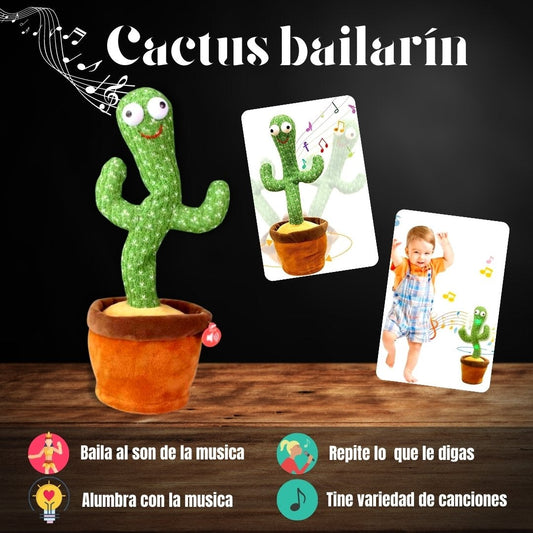 Cactus bailarín